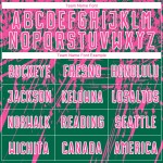 Camiseta de fútbol sublimada verde rosa y blanca personalizada Kelly Camiseta de fútbol sublimada verde rosa y blanca personalizada Kelly