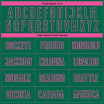 Camiseta de fútbol personalizada Kelly con sublimación, de rayas verdes y rosas, de moda Camiseta de fútbol personalizada Kelly con sublimación, de rayas verdes y rosas, de moda